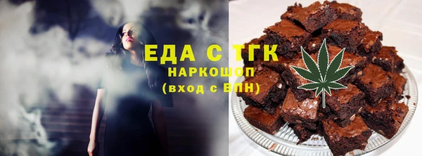 индика Богородицк