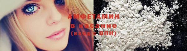 индика Богородицк