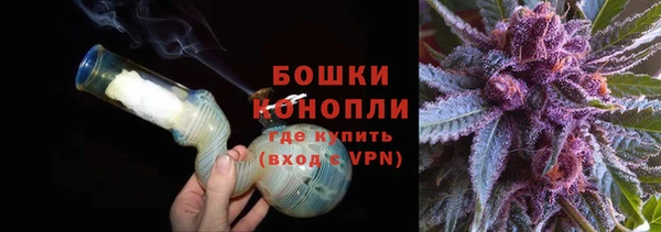 spice Богданович