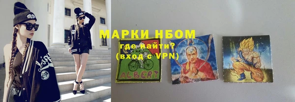 индика Богородицк