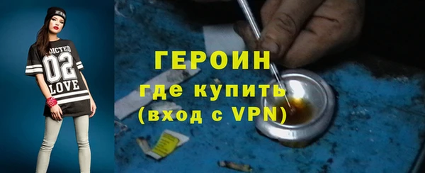 индика Богородицк
