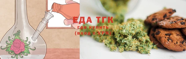 индика Богородицк