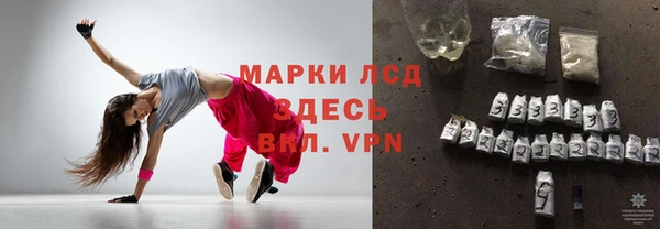 spice Богданович