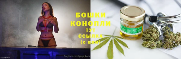 Альфа ПВП Богородск