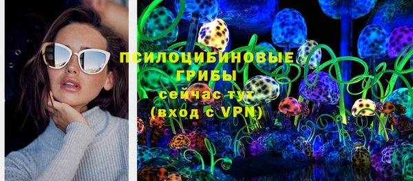 индика Богородицк