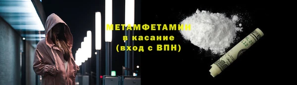 индика Богородицк