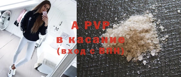 индика Богородицк