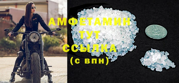 индика Богородицк