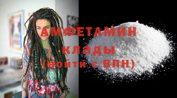 индика Богородицк