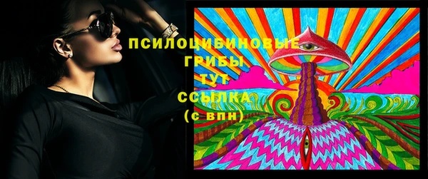 Альфа ПВП Богородск