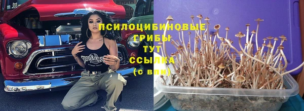 индика Богородицк