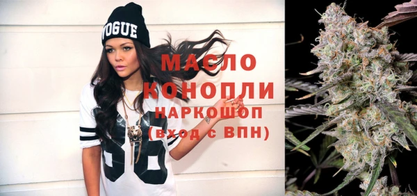 индика Богородицк