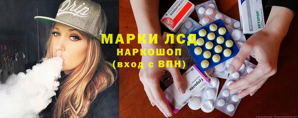 spice Богданович