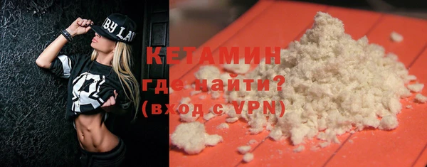 индика Богородицк