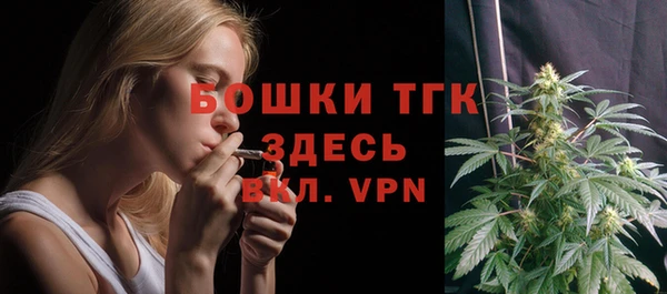Альфа ПВП Богородск