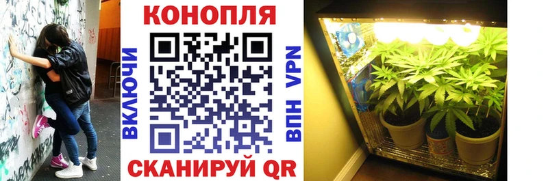где найти   ОМГ ОМГ сайт  Бошки марихуана марихуана  Катав-Ивановск 